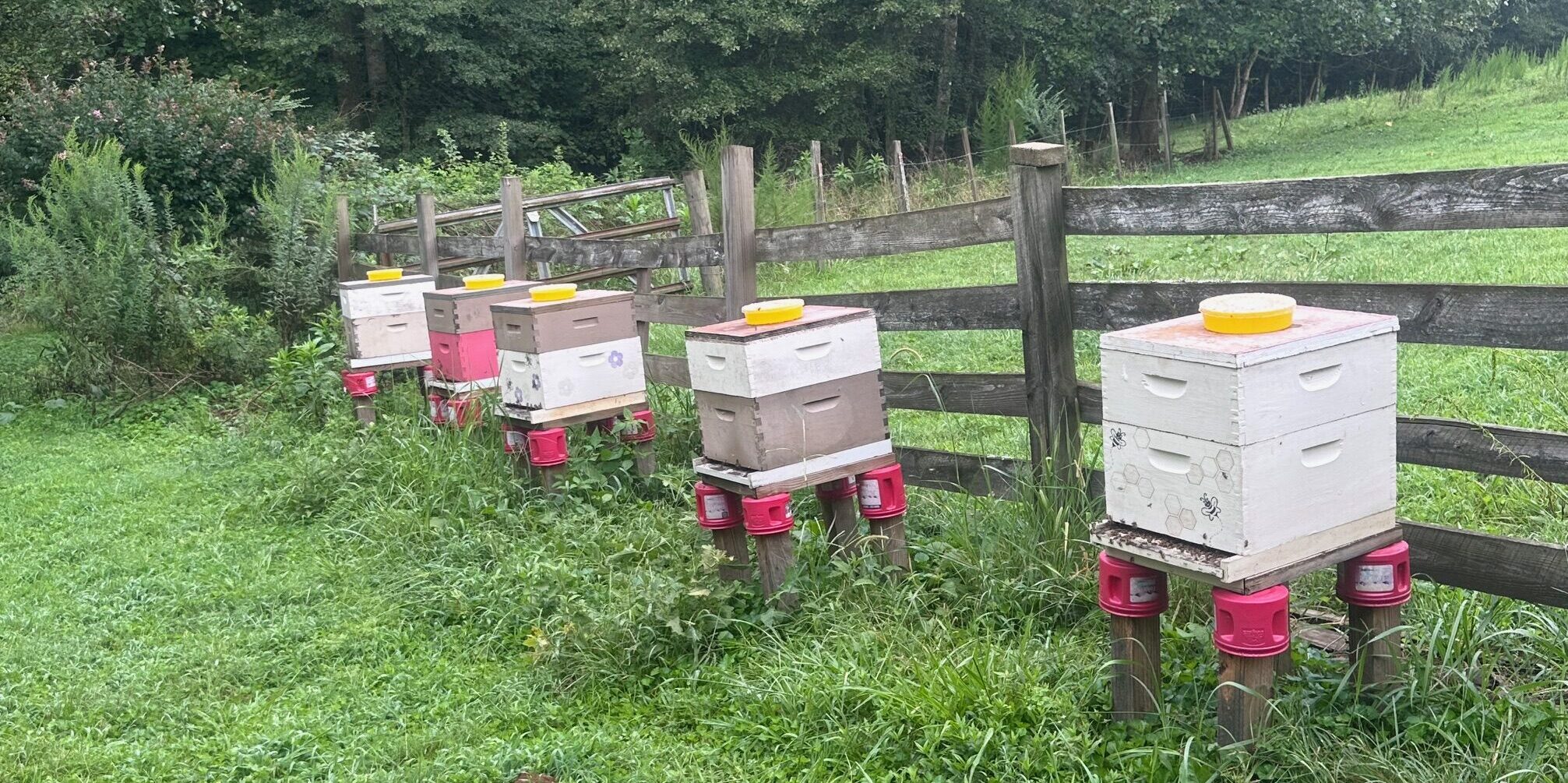 The Living Christ Ministry, Inc.